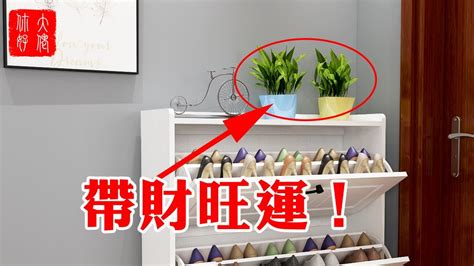 鞋櫃上可以放什麼植物|鞋櫃適合放什麼植物